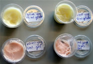 Food testing of yoghurt