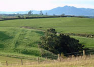 Walton farm view of hills