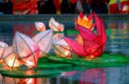 Lit Chinese lanterns