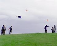 Students flying their kites