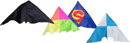 A selection of the students' kites
