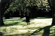 Scene in a park