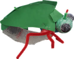 Morgan's bug