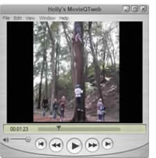 Screen capture from the students' movie showing a group of students climbing a tree using climbing equipment