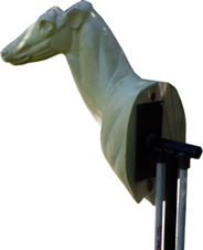 Blair's taxidermy stand with wooden base deer head