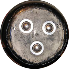 Kyle's curling stone