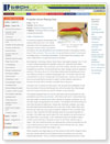 PDF version to view and print