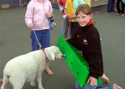 Student with lamb feeding rack 
