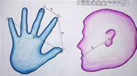 A diagram of the relationship between hand-size, ear-to-mouth distance, and cell-phone size