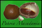 Pahoia Macadamias Logo