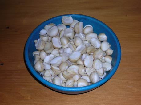 Plain macadamia nuts