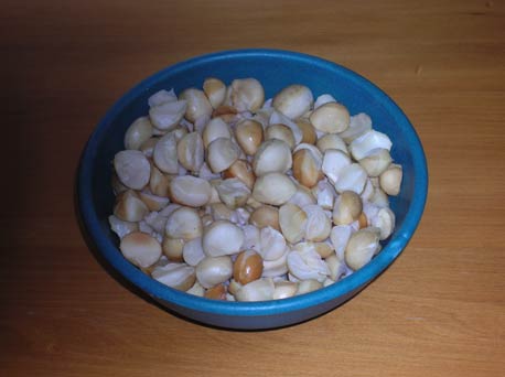 Plain macadamia nuts
