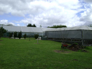 plastic house