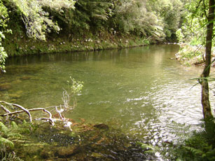 river and water hole