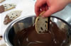 Food and Biological Case Study image
