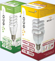 The 20 Watt 'Ecobulb'