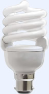 The 20 Watt 'Ecobulb'