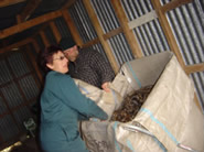 Sue checks the quality of the fur