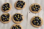 Final outcome from the Celebrating Matariki unit