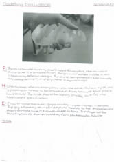 Mira's workbook