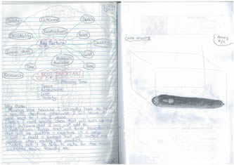Braxy's workbook