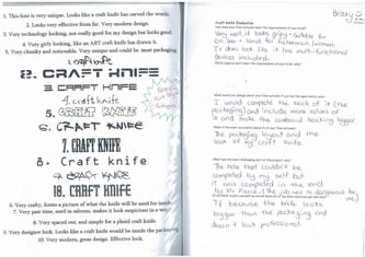 Braxy's workbook