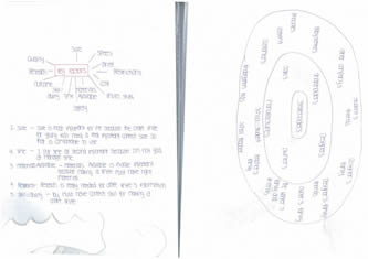 Joys' workbook