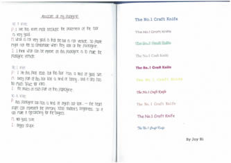 Joys' workbook