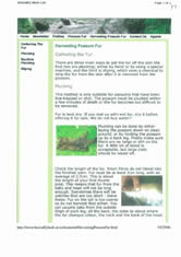Possum fur reports