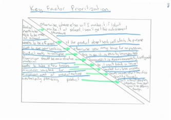 Key factor prioritisation