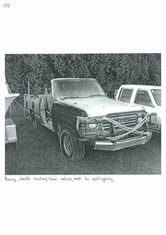 Product and possum photographs