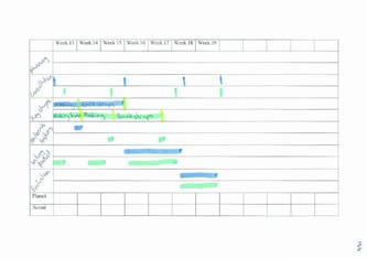 Timeline