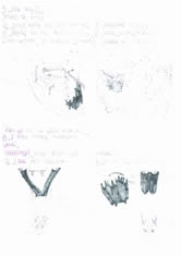 Zach Student workbook