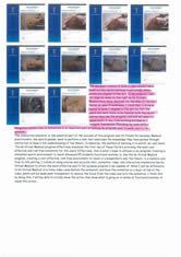 Zach Student workbook