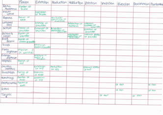 Zach Student workbook