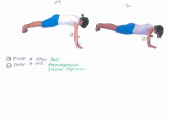 Zach Student workbook