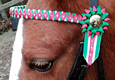 Horse browband