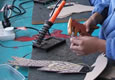 Combining Technology Programmes image