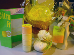 Tegan and Bridgets final body care package