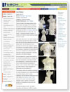 PDF version to view and print