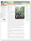 PDF version to view and print